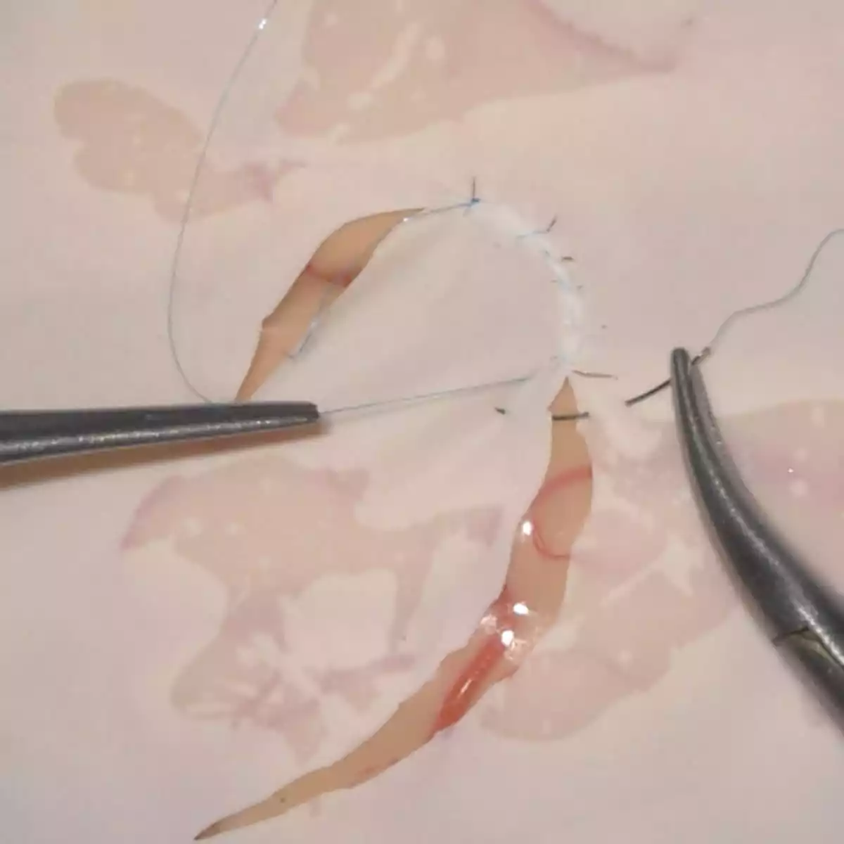  Mycro Trainingssystem für mikrovaskuläre Anastomosen & Mikronähte