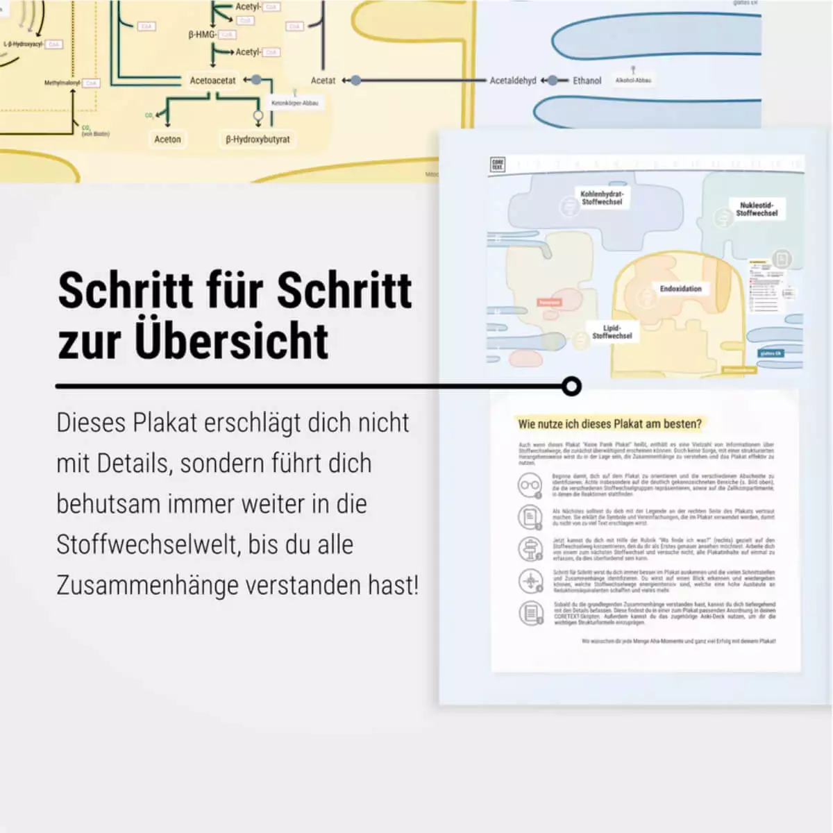  Das Keine-Panik-Plakat