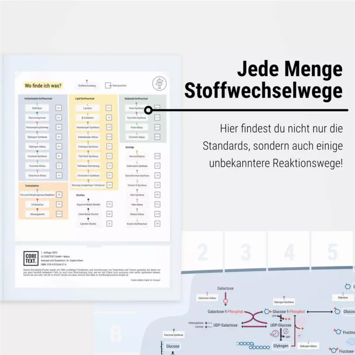  Das Keine-Panik-Plakat