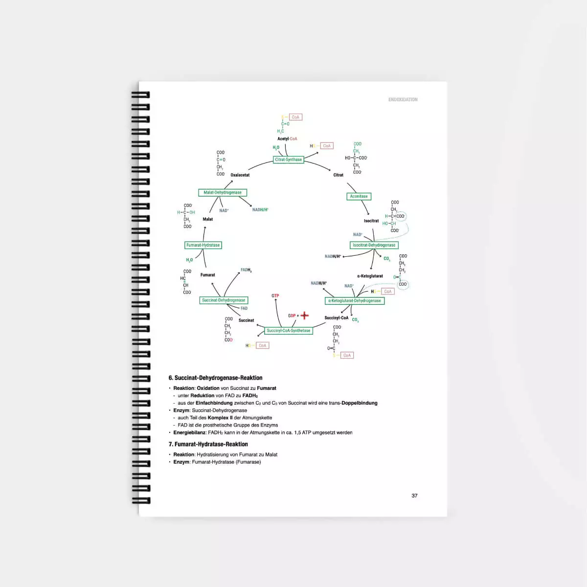  Biochemie Lernskript