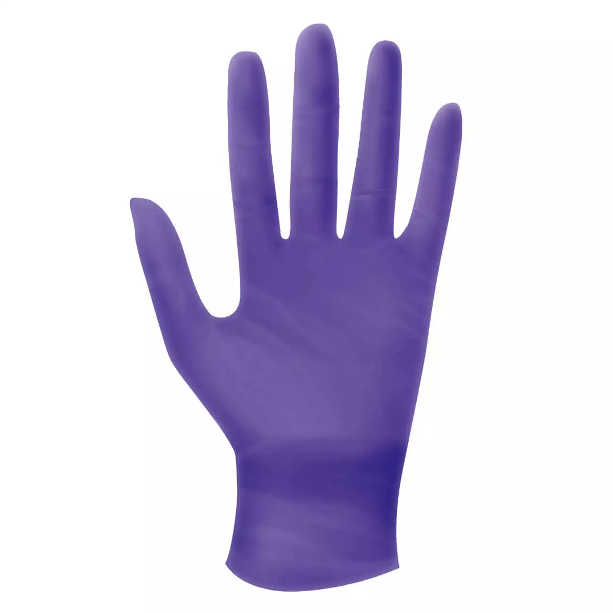  Nitril Viola Untersuchungshandschuhe