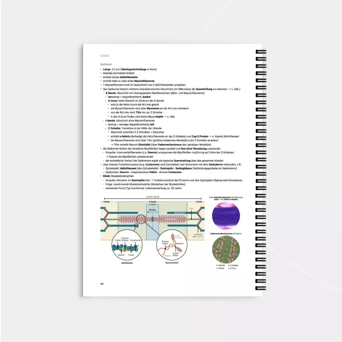  Histologie Lernskript