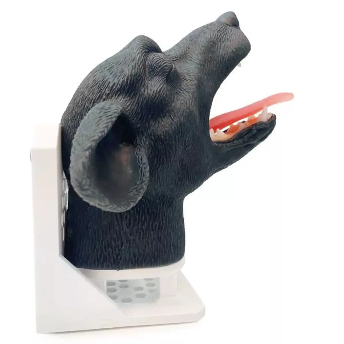 Intubationskopf Hund Intubationskopf Hund