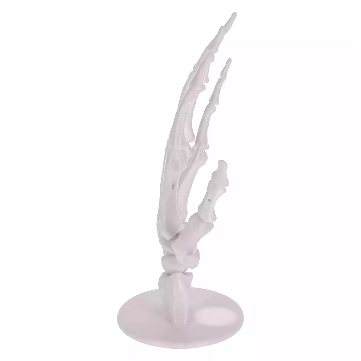  Anatomisches 3D-Puzzle der Hand "Manus"