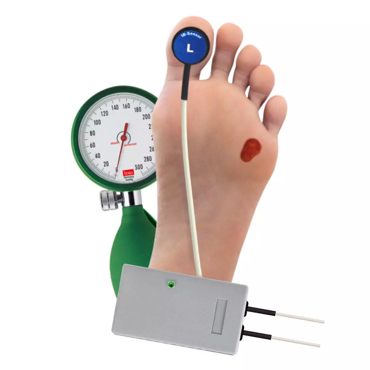  AngE Basic ABI + Phlebo PPG Diagnostiksystem