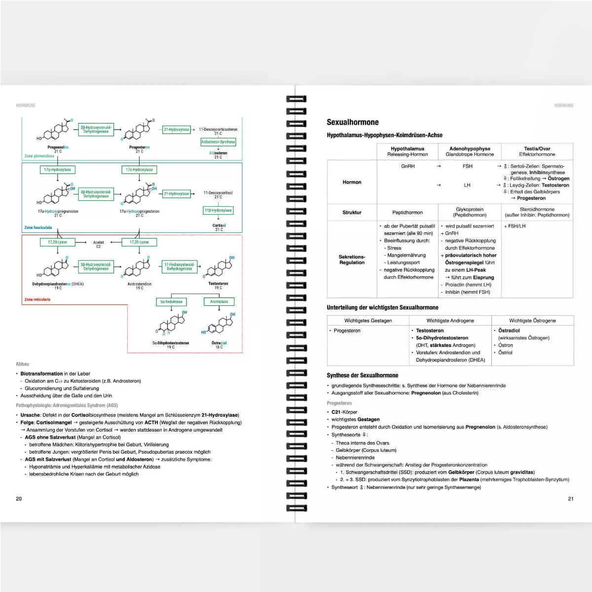 Biochemie Lernskript Biochemie Lernskript
