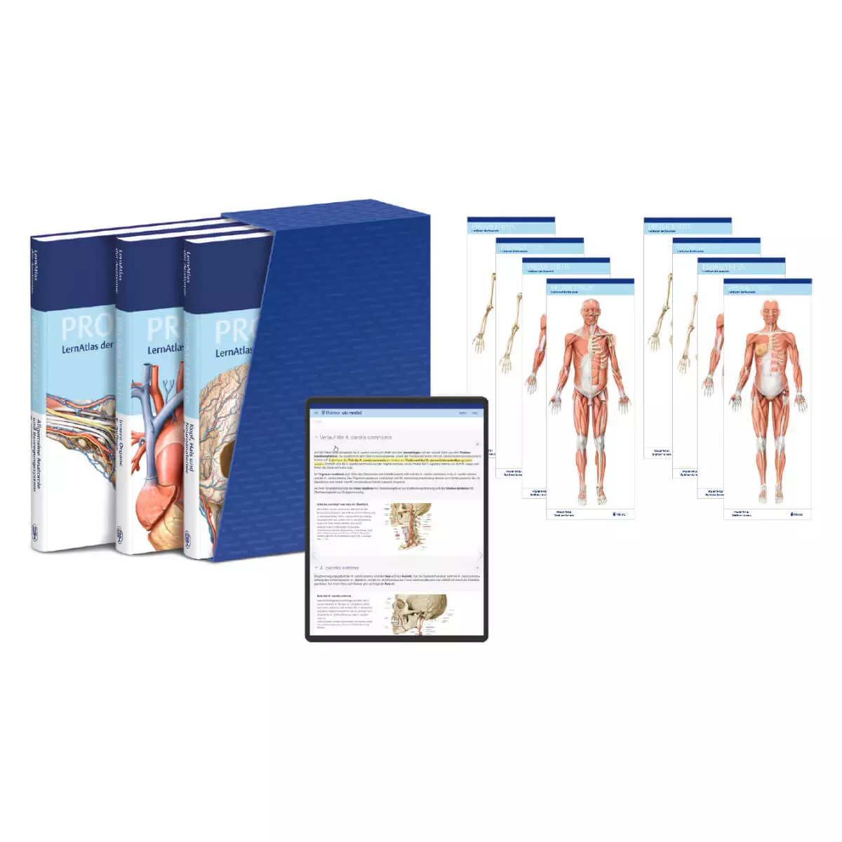  PROMETHEUS LernPaket Anatomie
