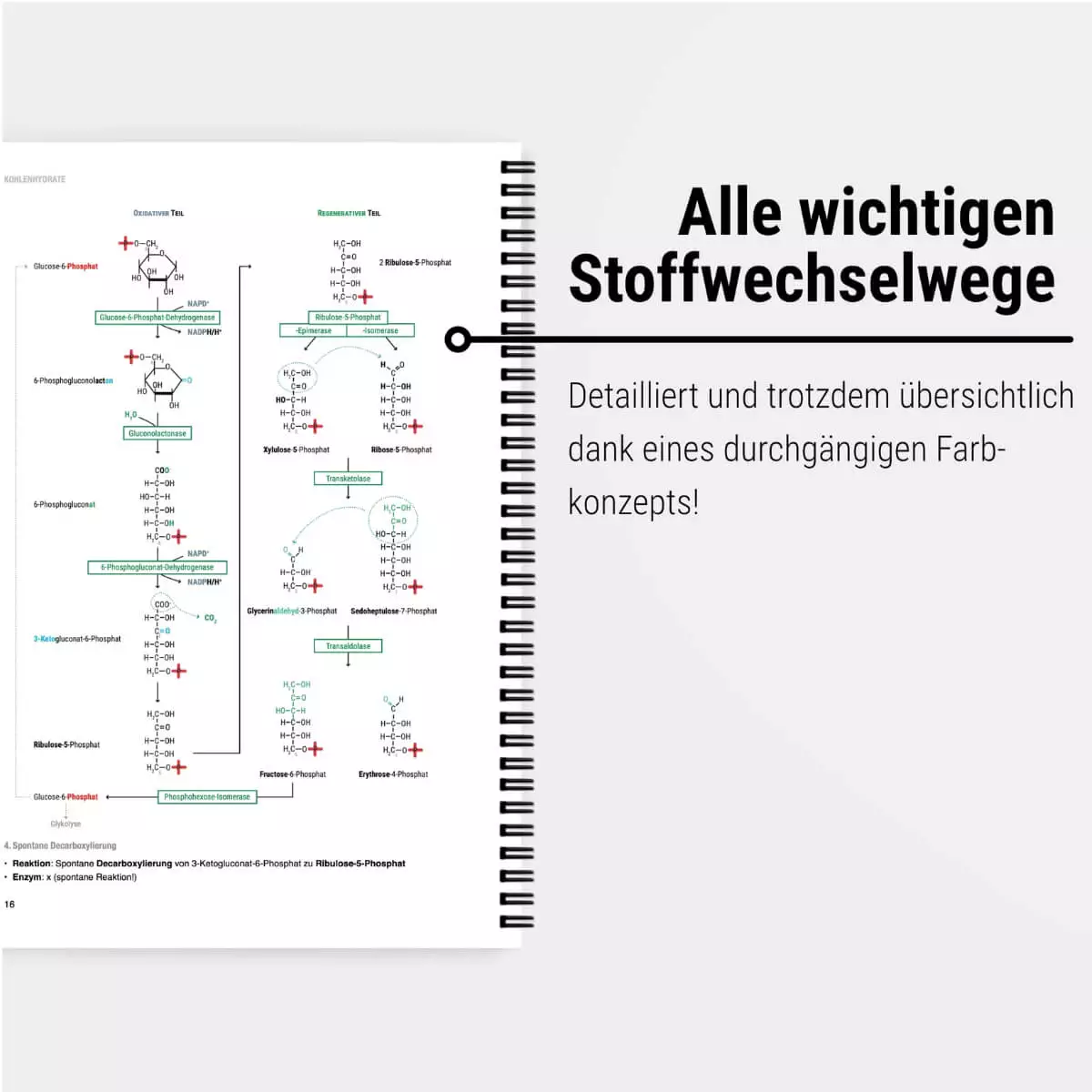  Biochemie Lernskript