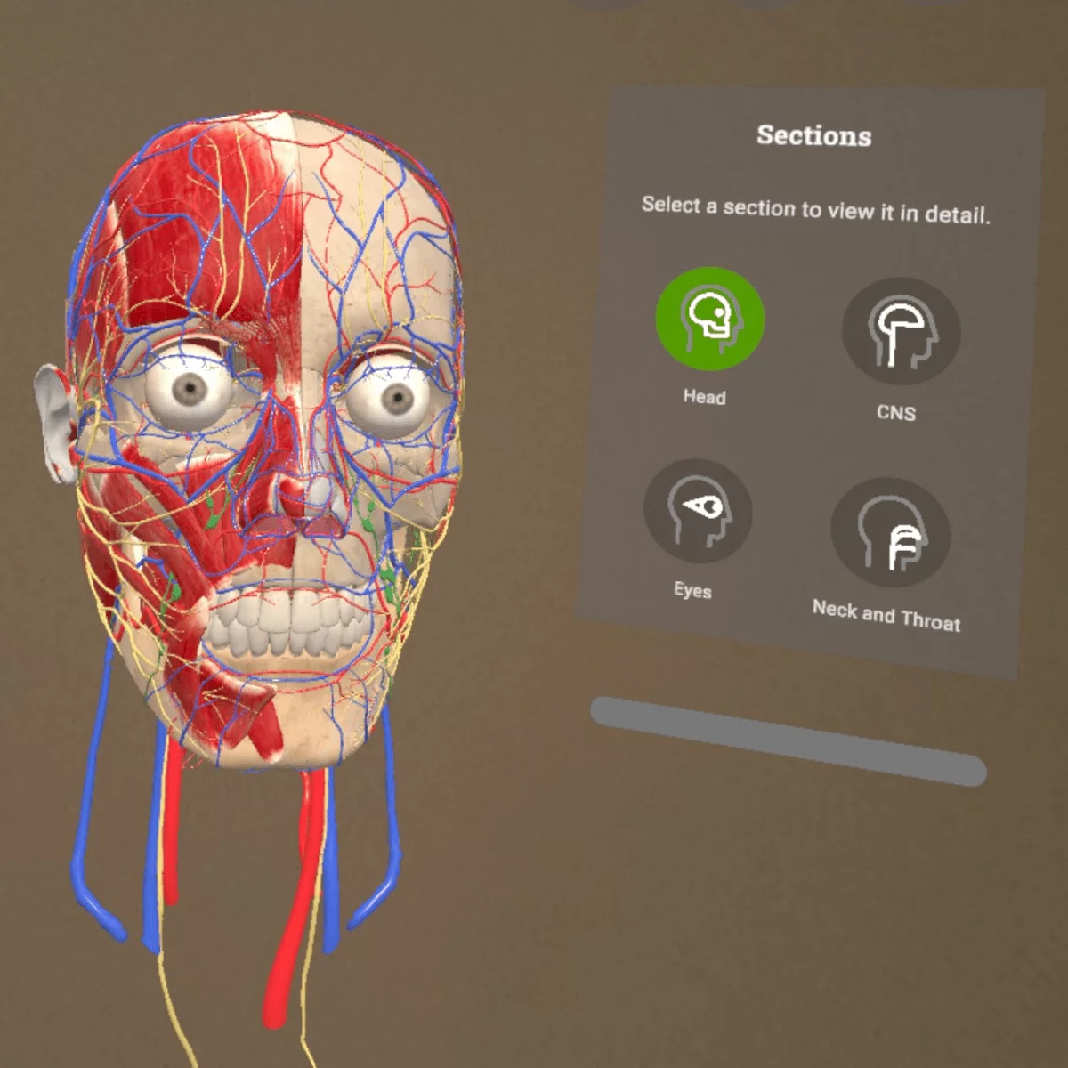  Mixed-Reality Anatomie-App "Corpus" für Meta Quest 3/3S
