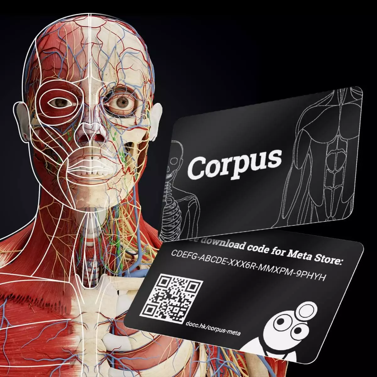  Mixed-Reality Anatomie-App "Corpus" für Meta Quest 3/3S