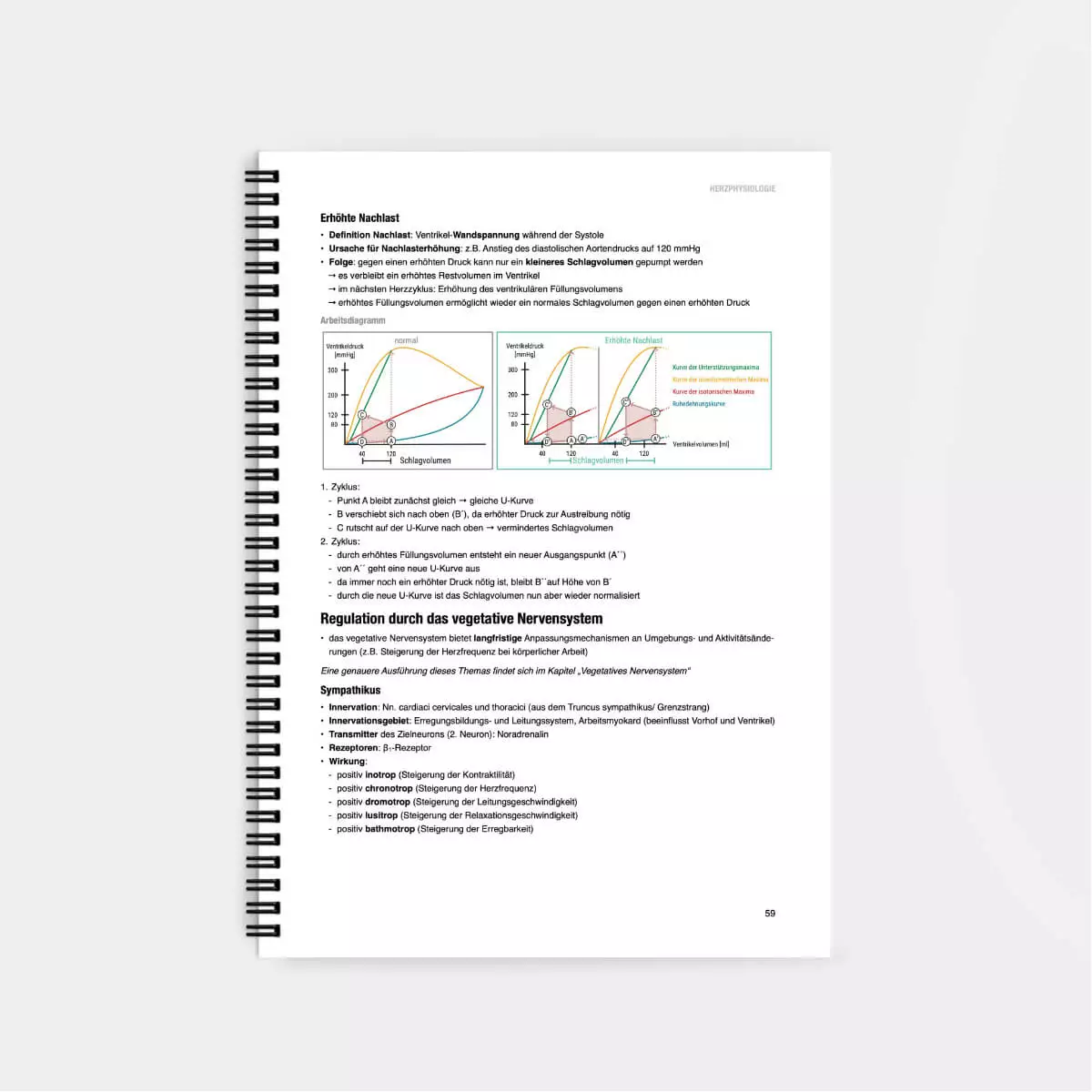  Physiologie Lernskript