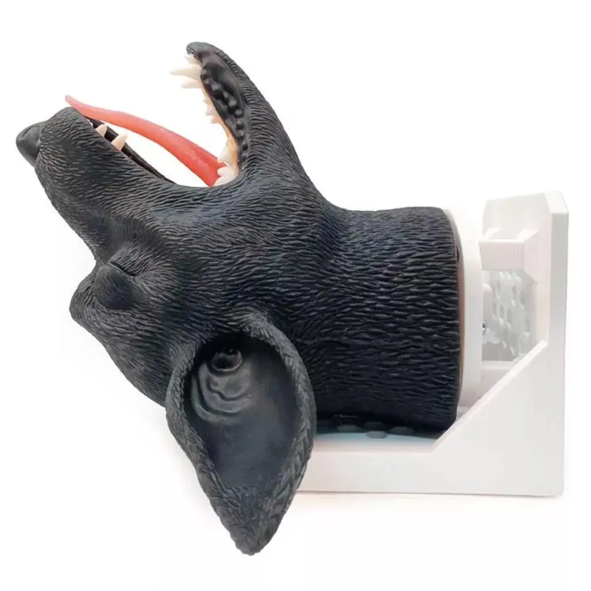Intubationskopf Hund Intubationskopf Hund
