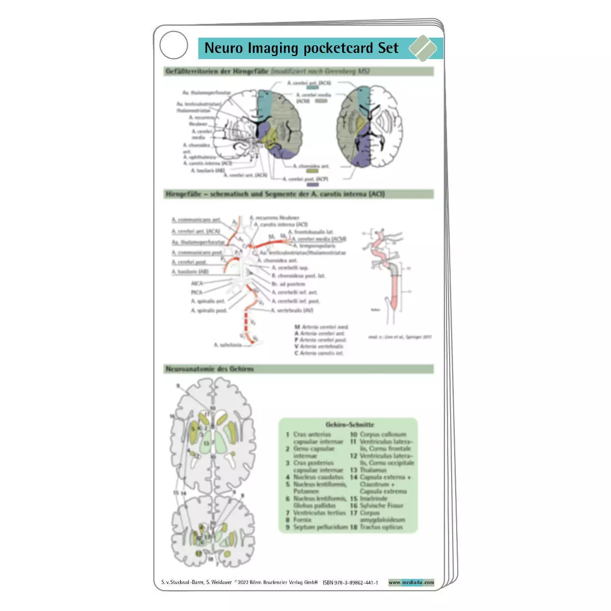  Neuro Imaging pocketcard Set