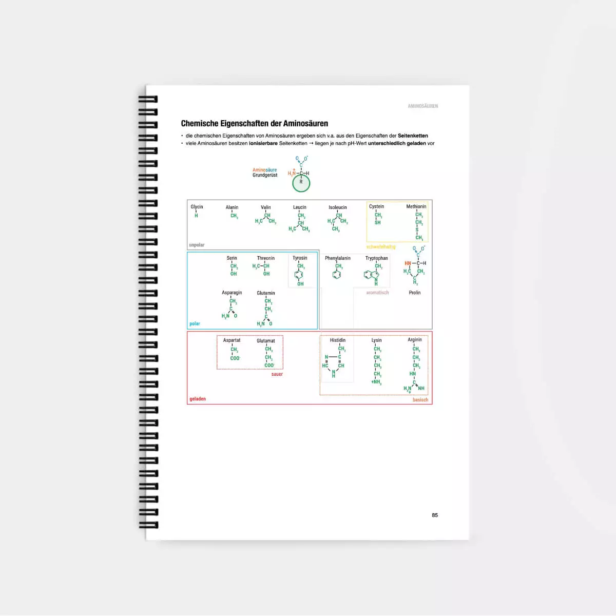  Biochemie Lernskript