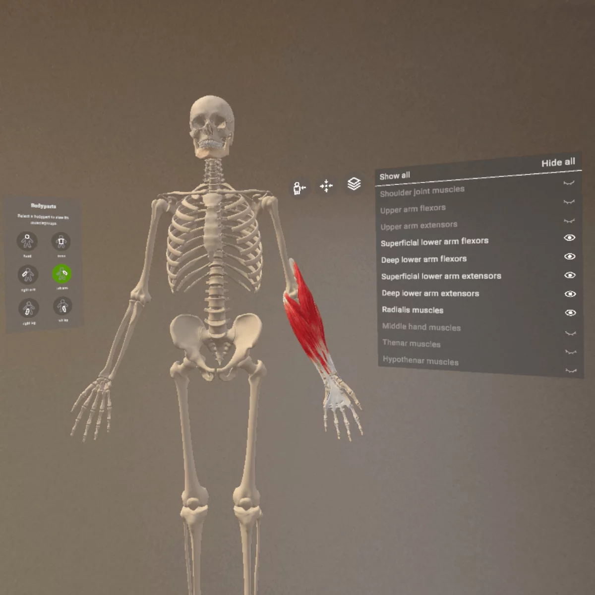  Mixed-Reality Anatomie-App "Corpus" für Meta Quest 3/3S