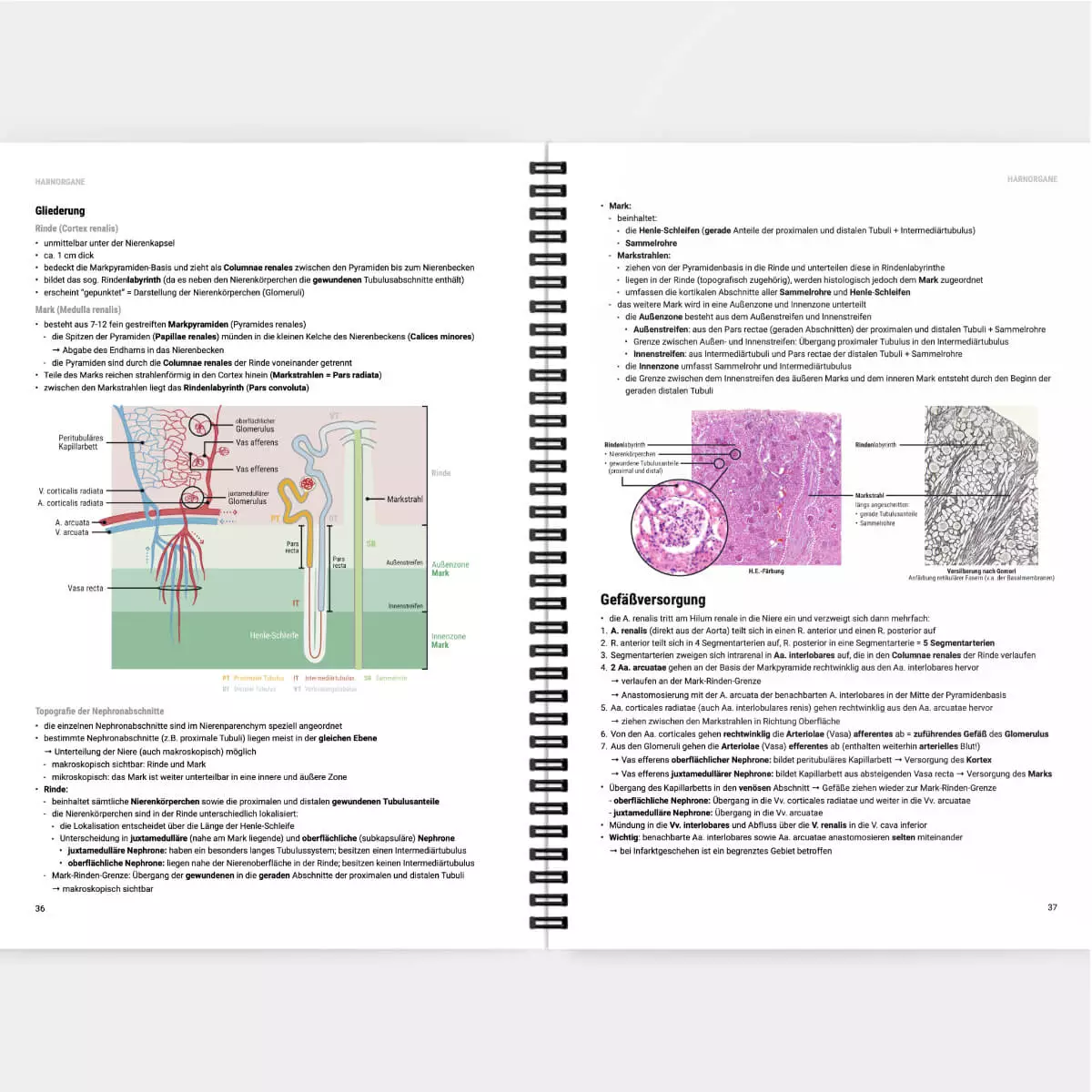Histologie Lernskript Histologie Lernskript