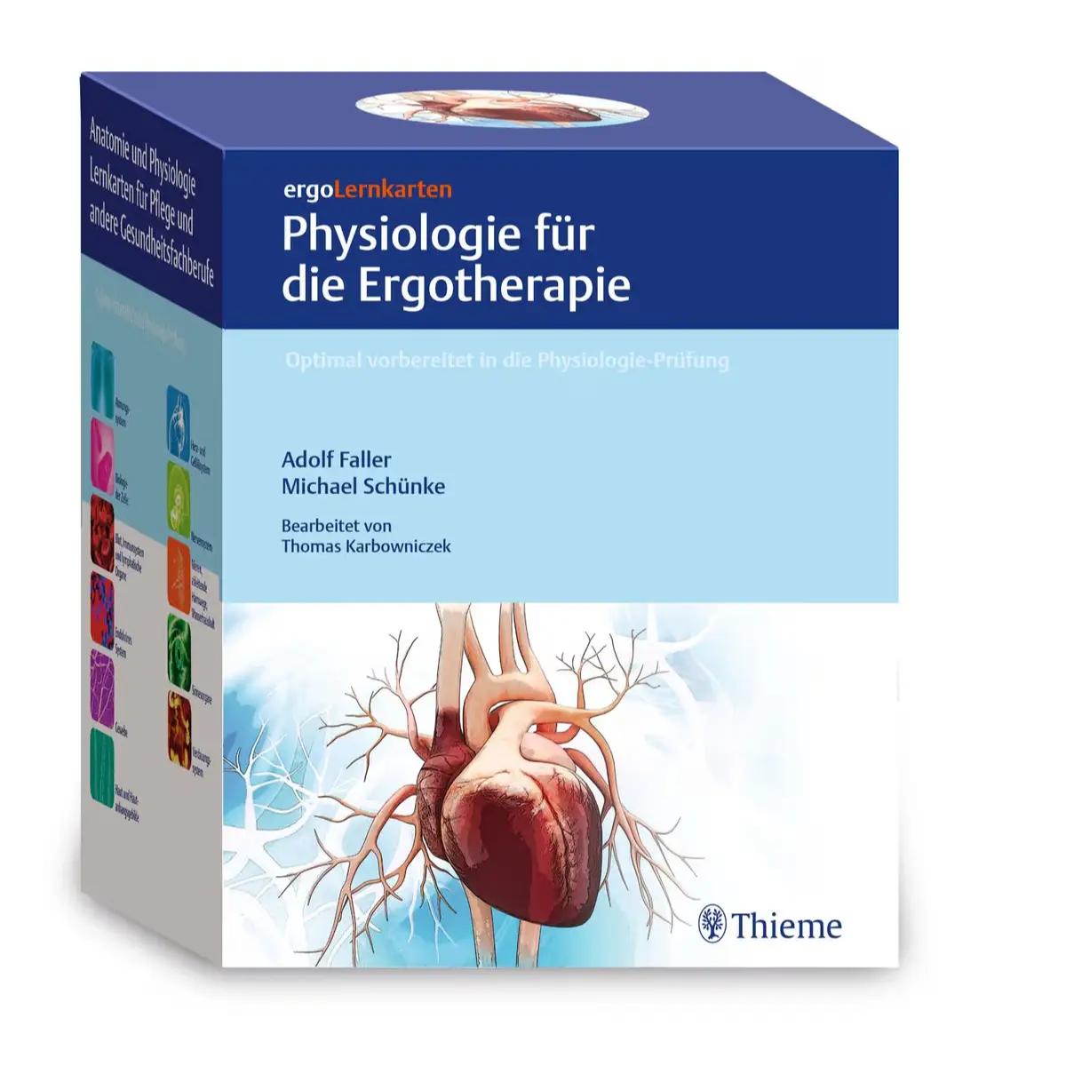 ergoLernkarten – Physiologie für die Ergotherapie ergoLernkarten – Physiologie für die Ergotherapie