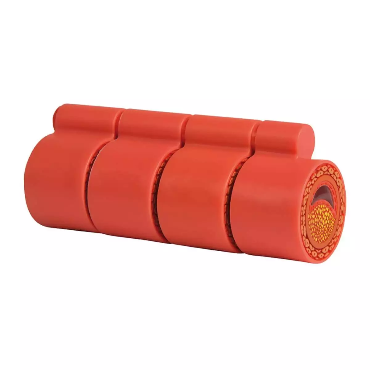  Arteriosklerosemodell