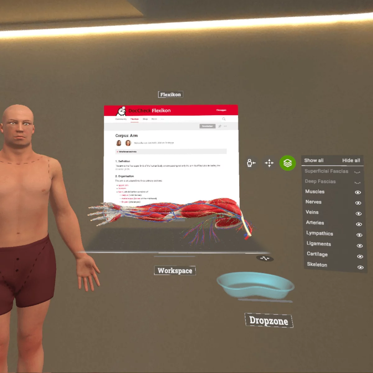 Mixed-Reality Anatomie-App "Corpus" für Meta Quest 3/3S