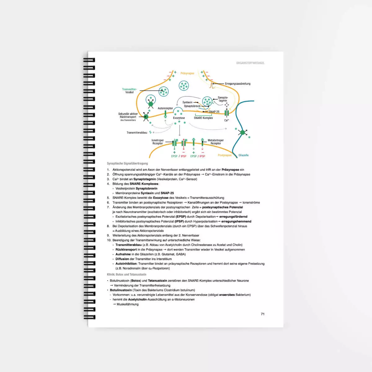 Biochemie Lernskript Biochemie Lernskript