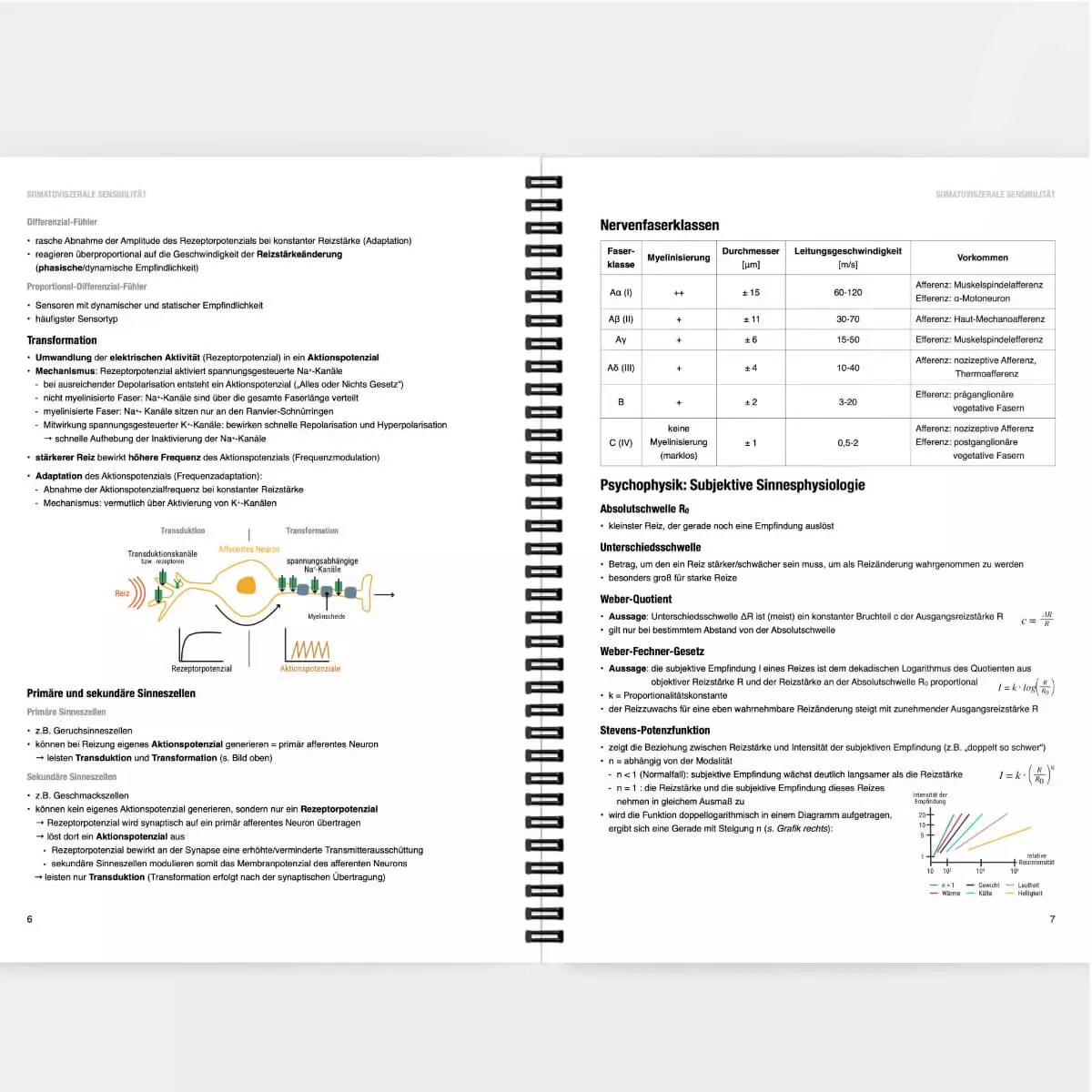  Physiologie Lernskript