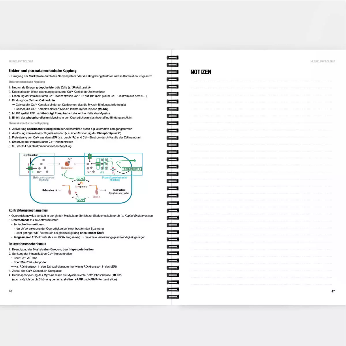  Physiologie Lernskript
