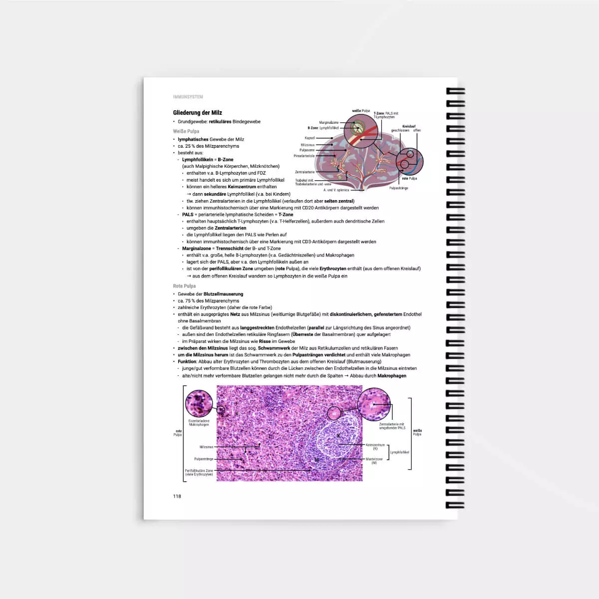  Histologie Lernskript