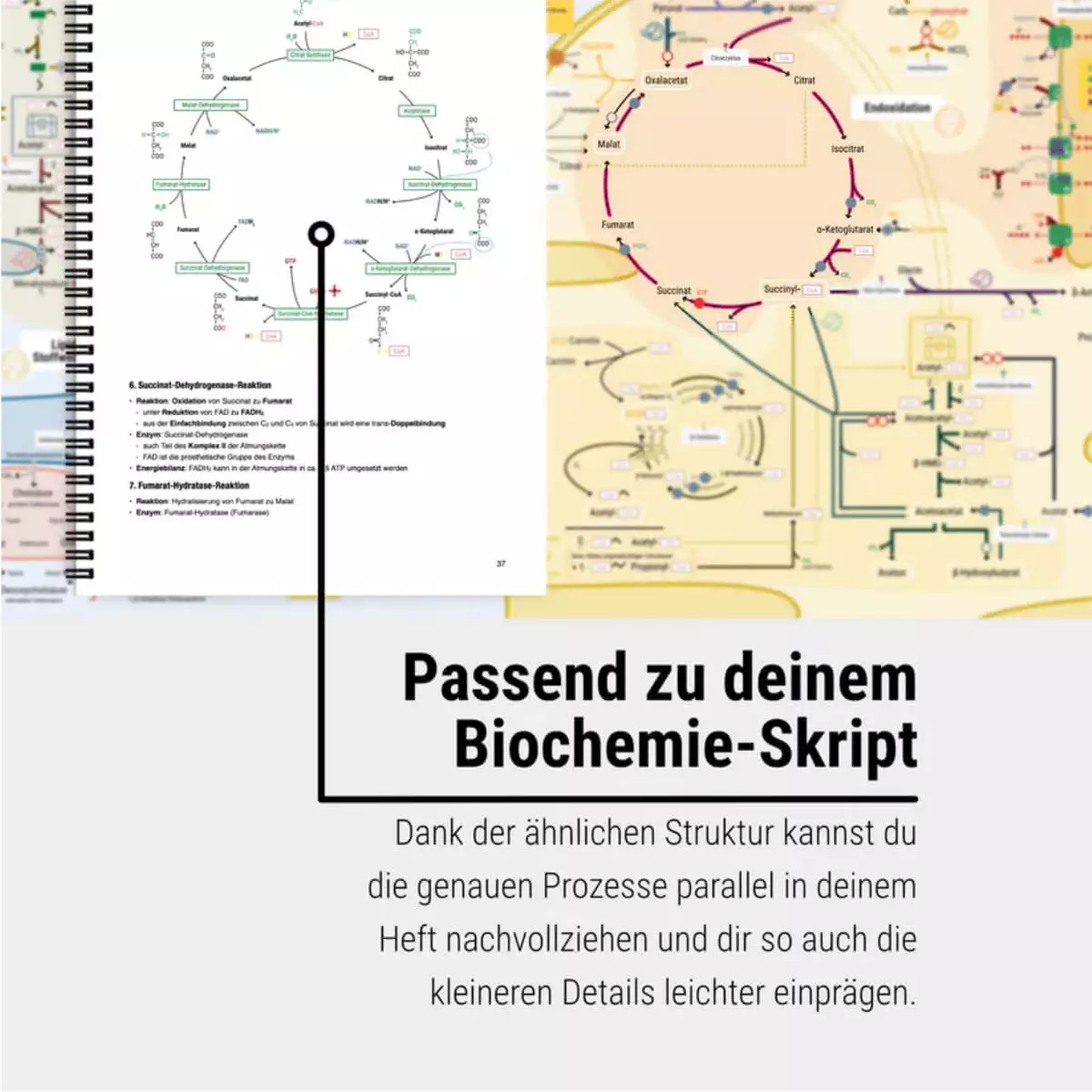 Das Keine-Panik-Plakat