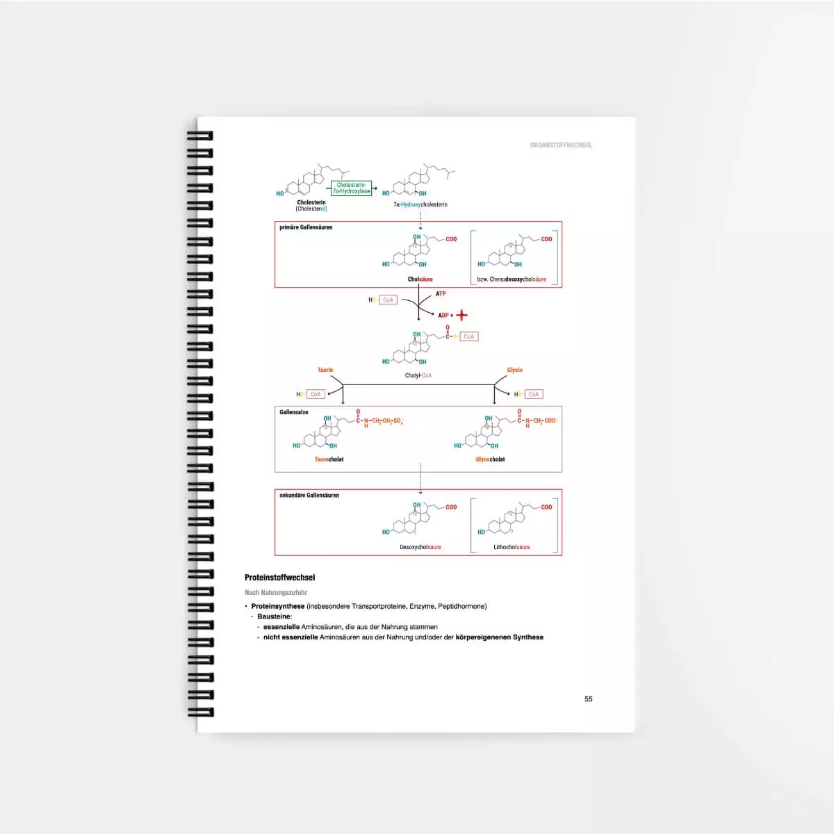 Biochemie Lernskript Biochemie Lernskript