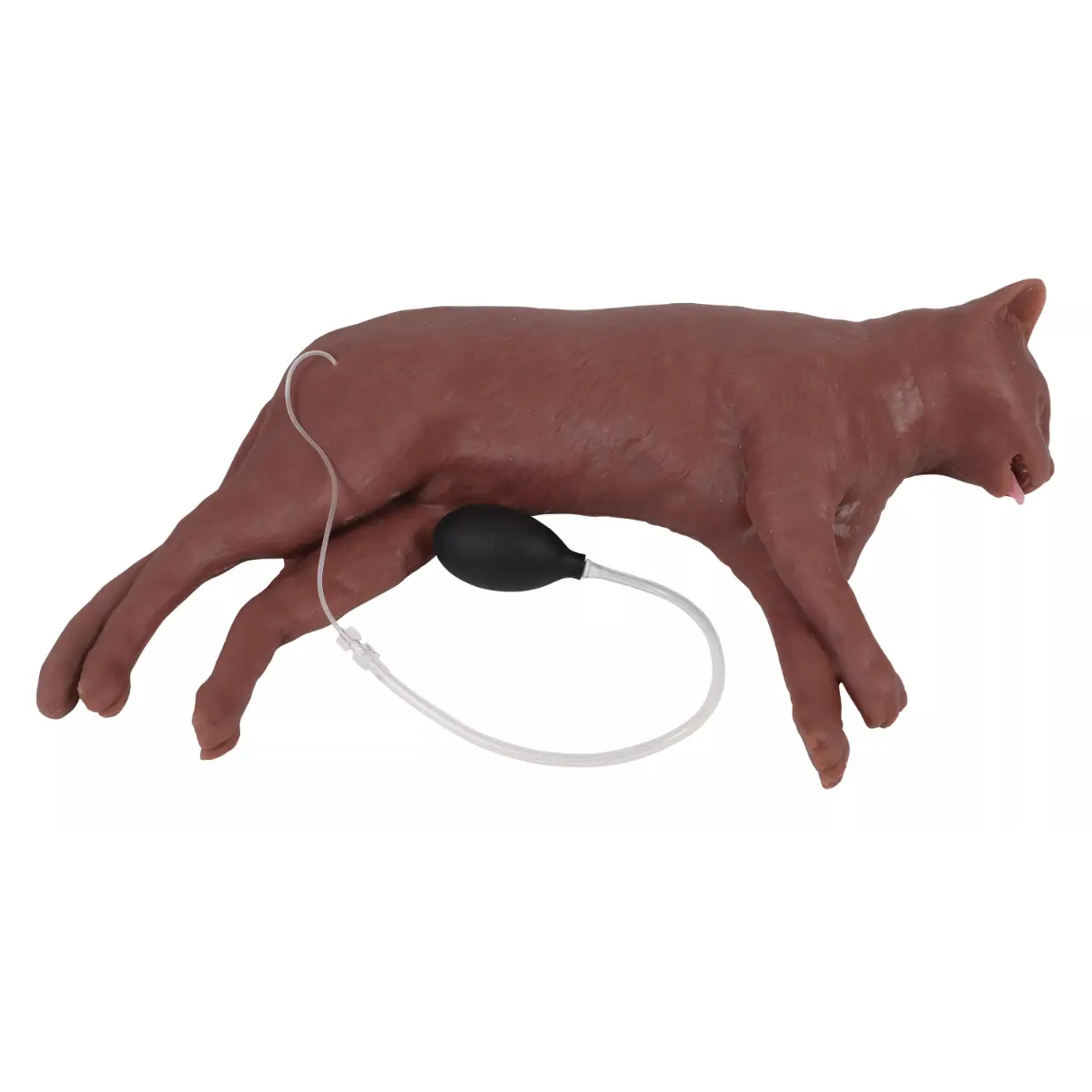 HLW-Übungspuppe Katze "CaPpeR" HLW-Übungspuppe Katze "CaPpeR"