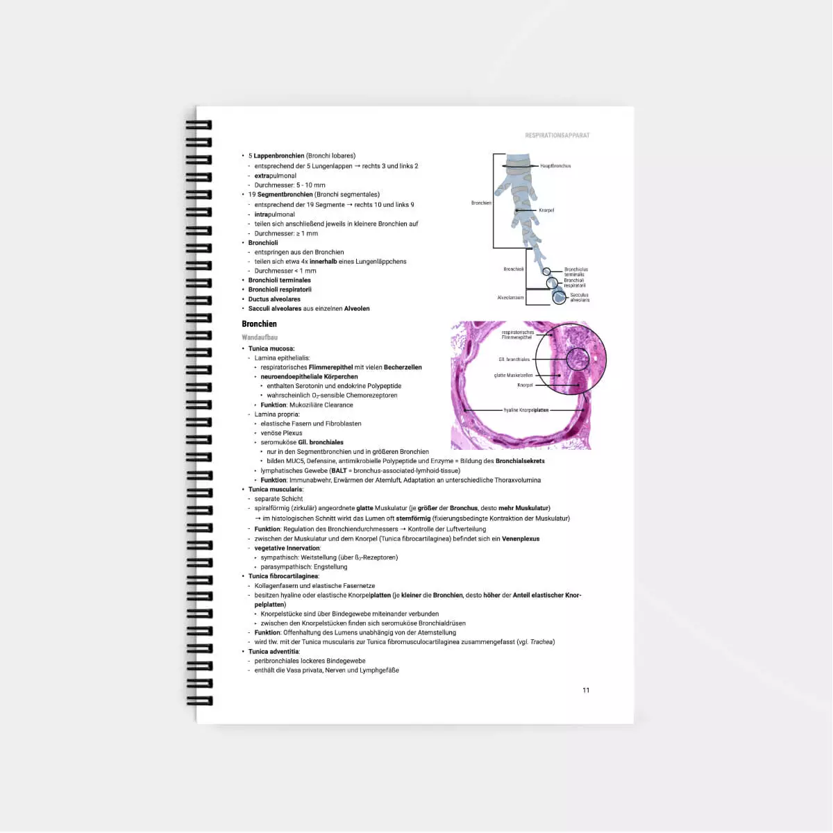 Histologie Lernskript Histologie Lernskript