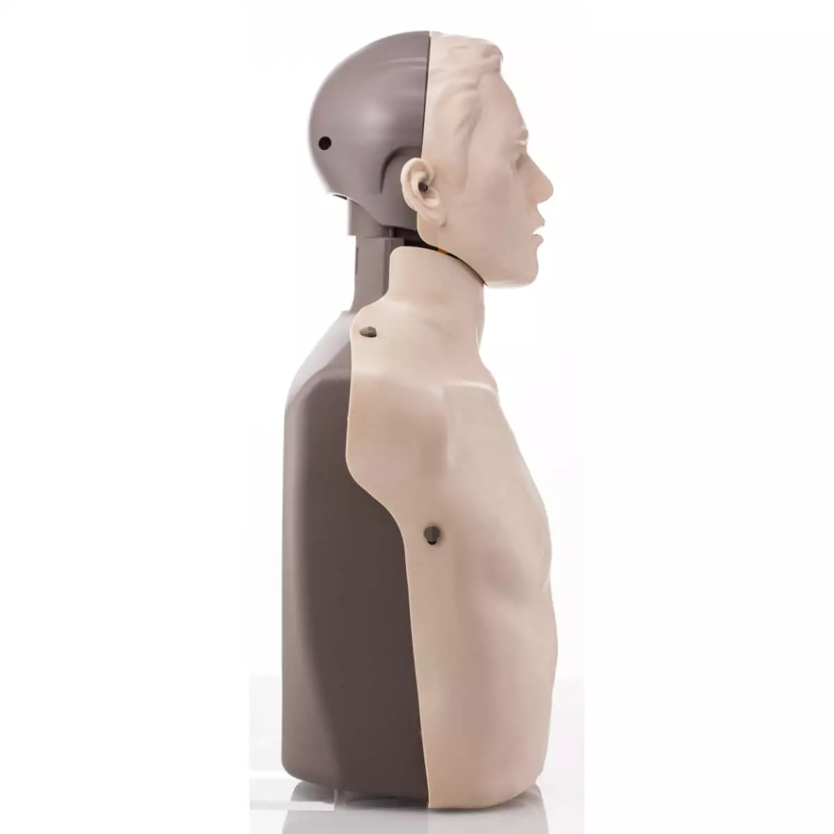  BRAYDEN CPR-Trainingspuppe Basic