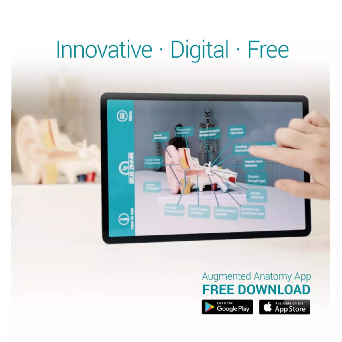  Modell Schultergelenk mit Muskulatur für EZ Augmented Anatomy Lern App