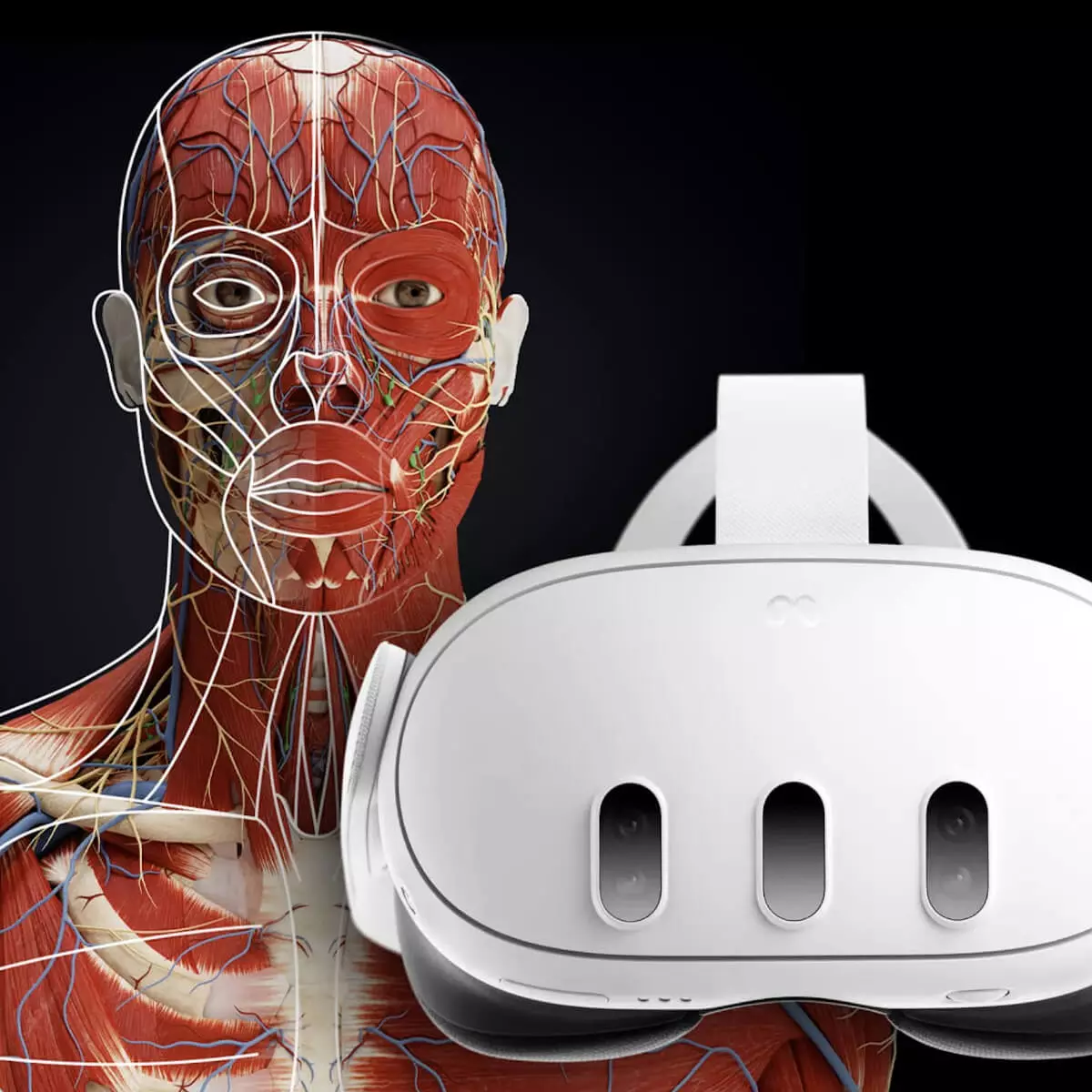  Mixed-Reality Anatomie-App "Corpus" für Meta Quest 3/3S