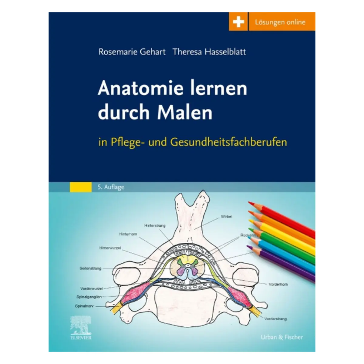 Anatomie lernen durch Malen  Anatomie lernen durch Malen