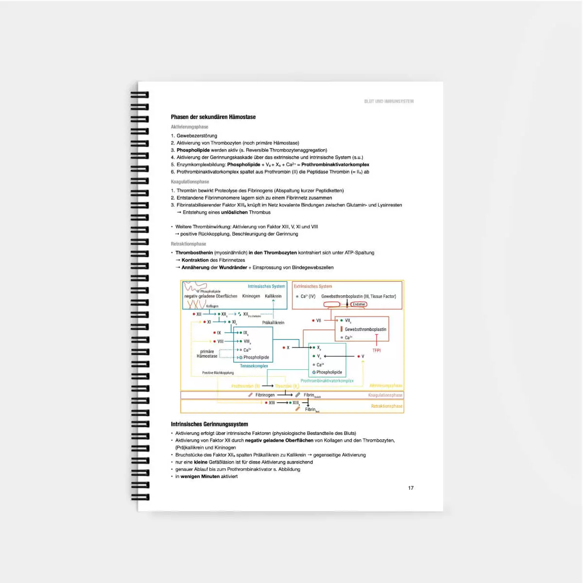 Physiologie Lernskript Physiologie Lernskript