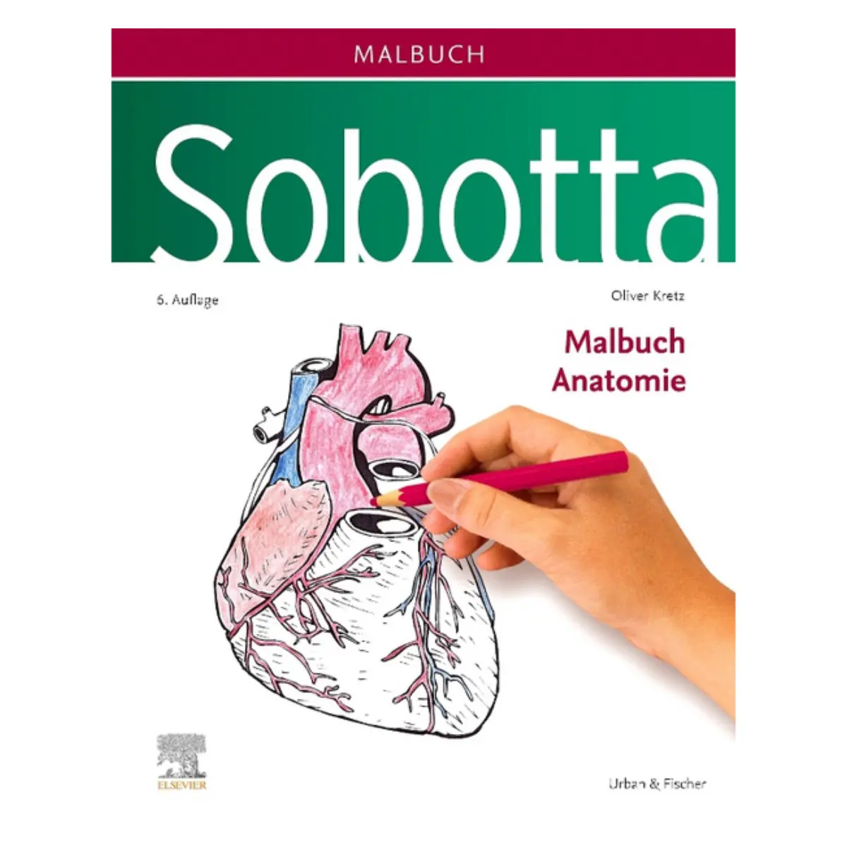  Sobotta Malbuch Anatomie