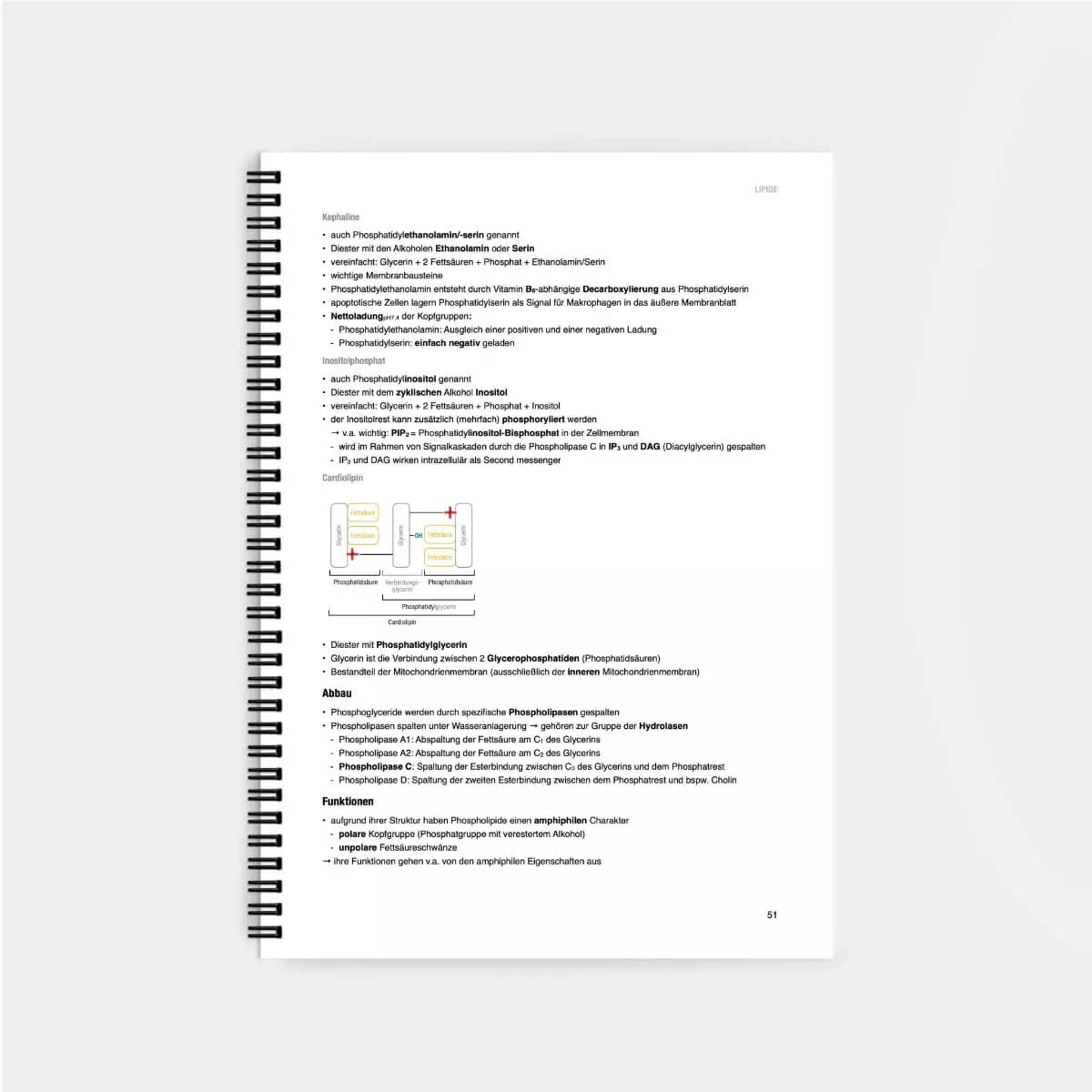  Biochemie Lernskript