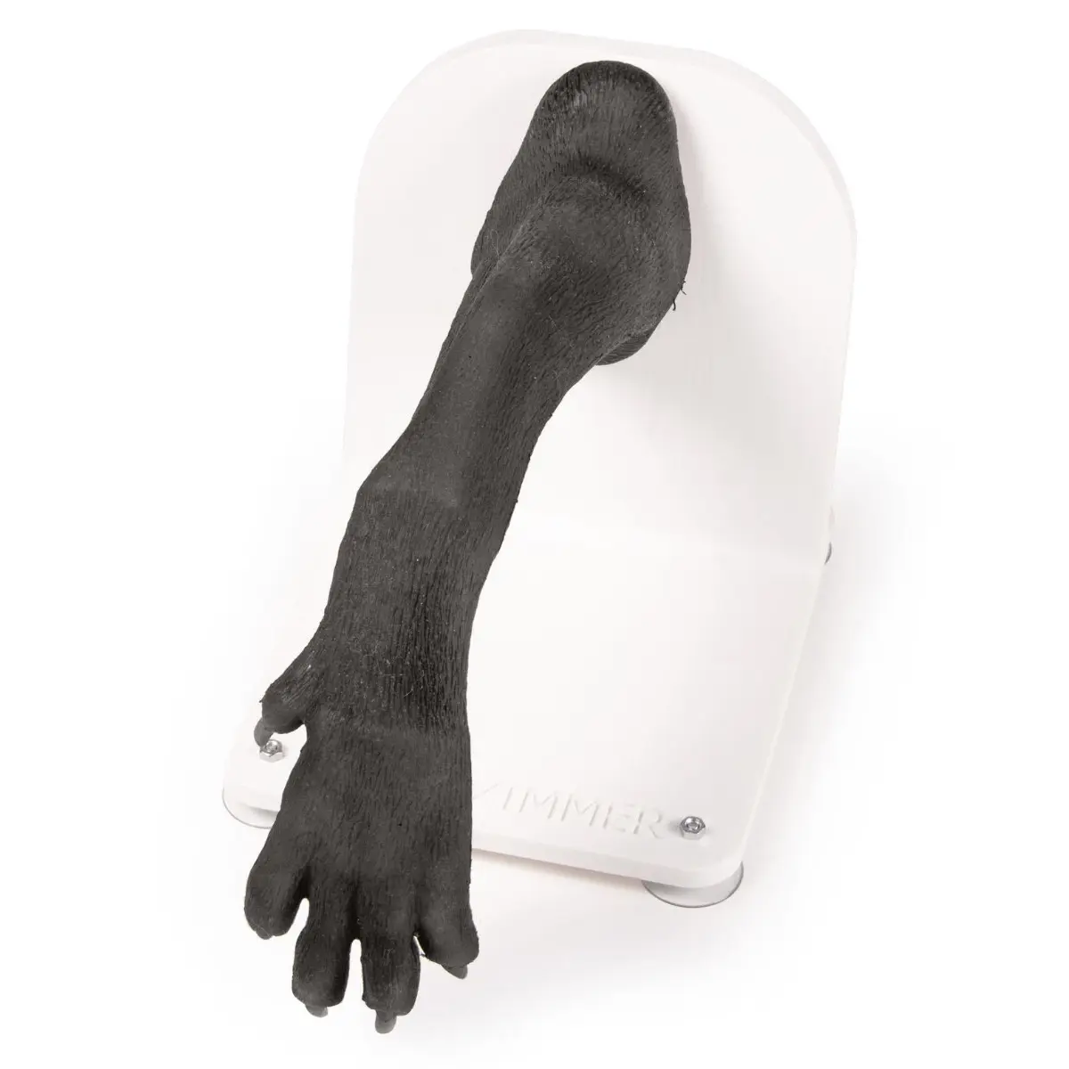 Verbandstrainer Hundepfote Verbandstrainer Hundepfote
