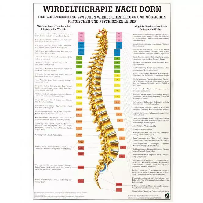  Lehrtafel – Wirbeltherapie nach Dorn