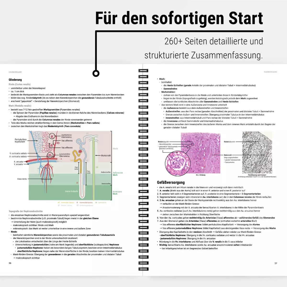  Histologie Lernskript