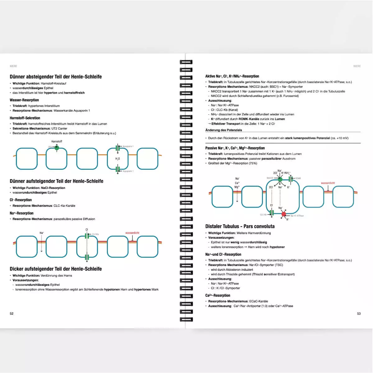 Physiologie Lernskript Physiologie Lernskript