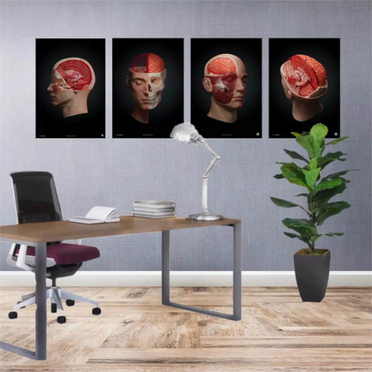  AnatomyARt Collection