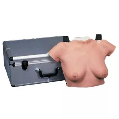  Brust-Tastmodell