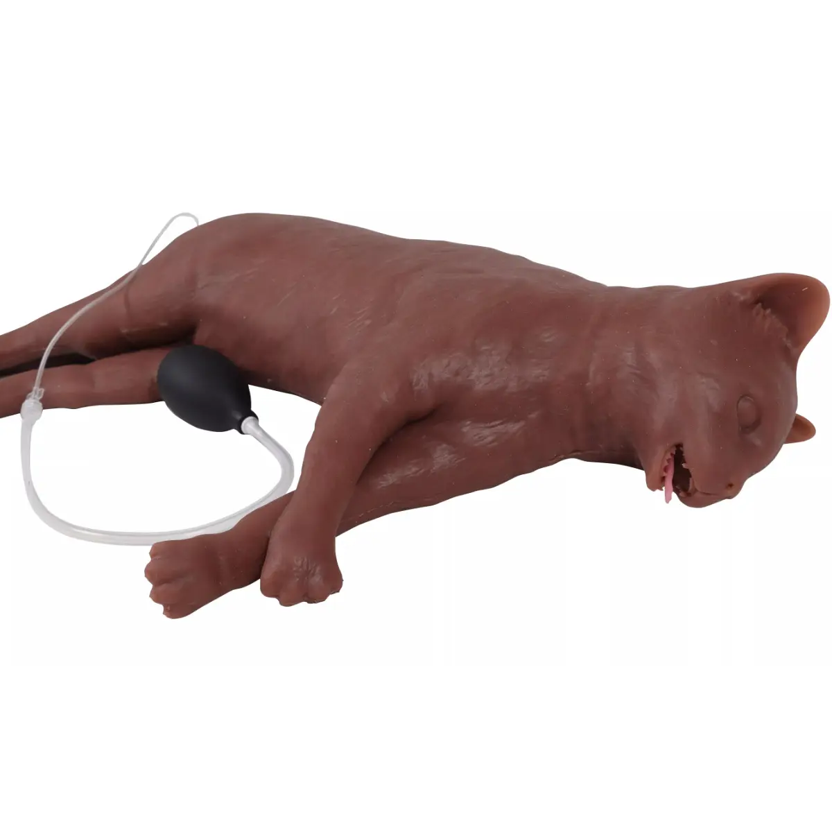 HLW-Übungspuppe Katze "CaPpeR" HLW-Übungspuppe Katze "CaPpeR"