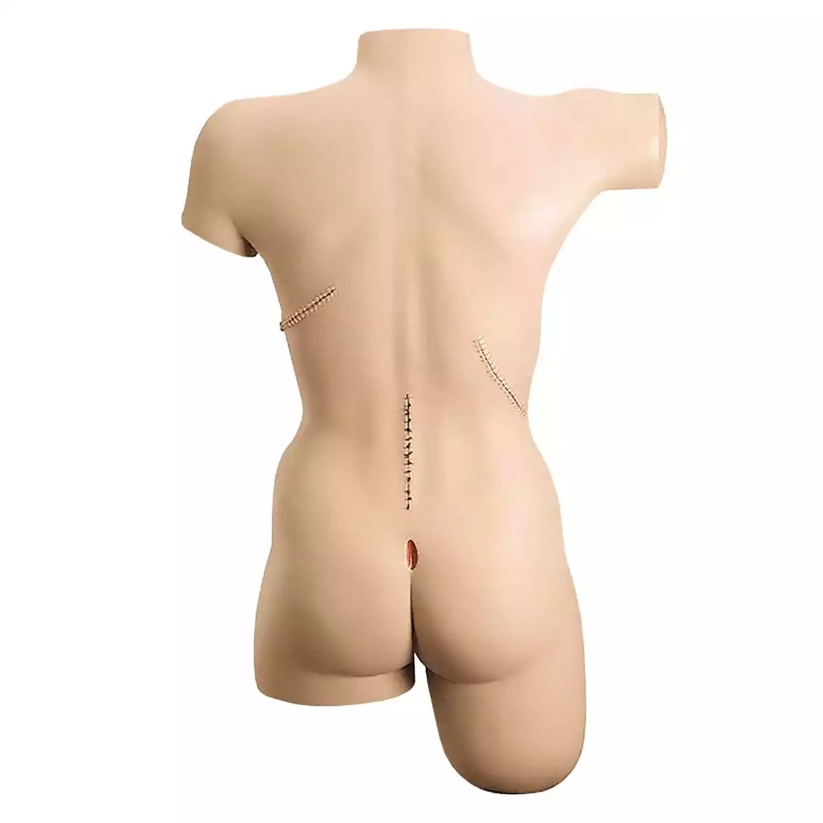  Verband-Simulator