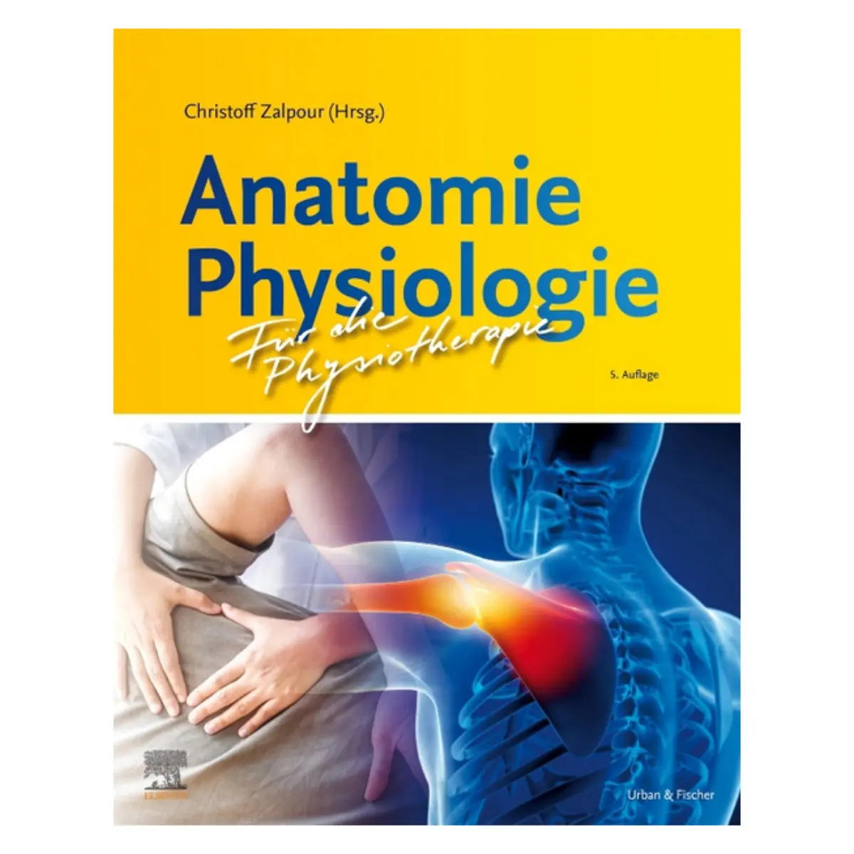 Anatomie Physiologie für die Physiotherapie  Anatomie Physiologie für die Physiotherapie