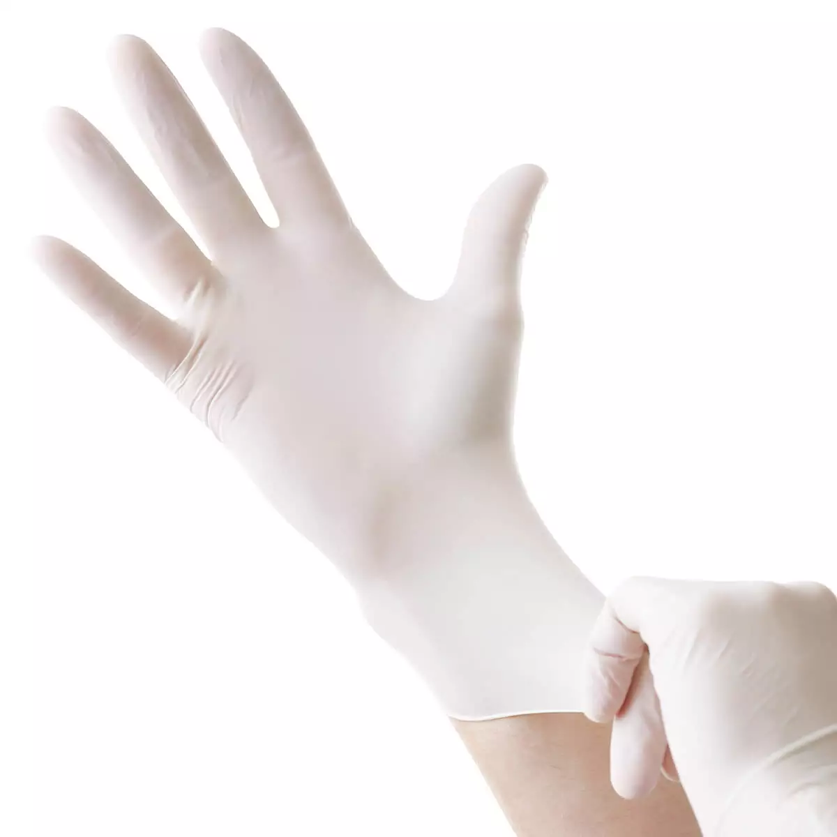  Handschuhe "Greif nitril"