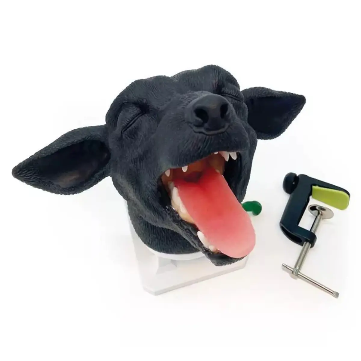 Intubationskopf Hund Intubationskopf Hund