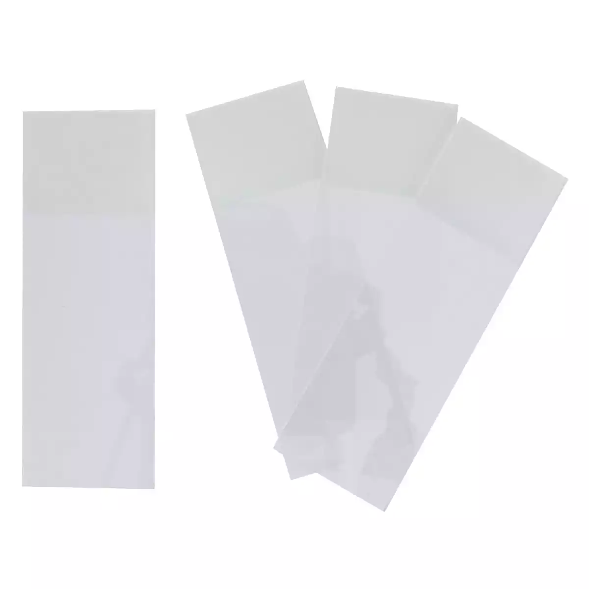  Objektträger mit & ohne Beschriftungsfeld